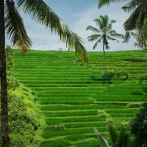 Be Bali , Ubud (Bali) Indonesia
